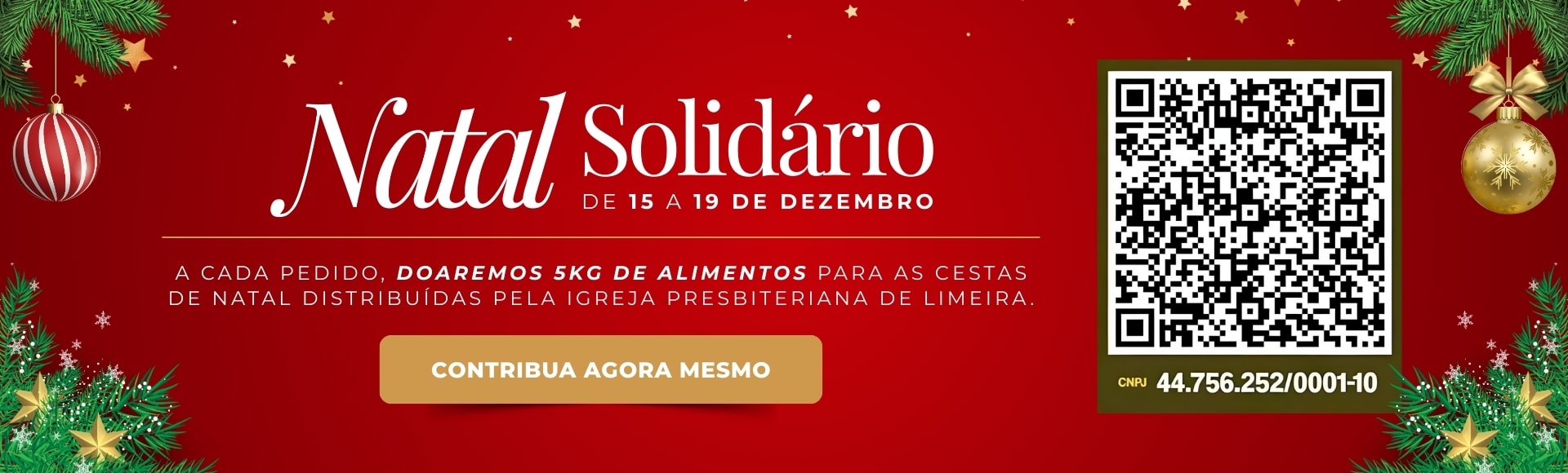 Natal Solidário