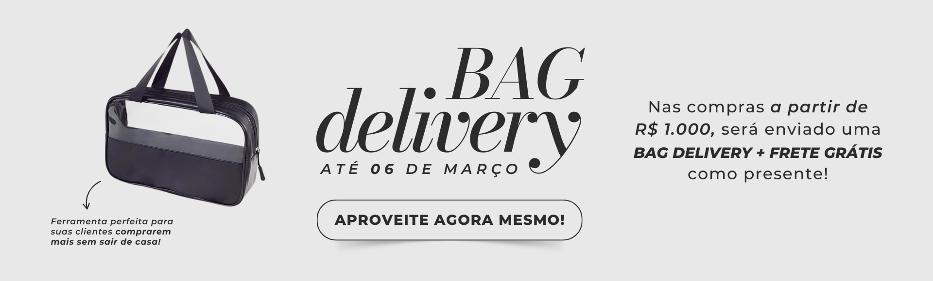 Bag Delivery