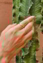 ANEL EM ''V'' NO OURO AN360-O