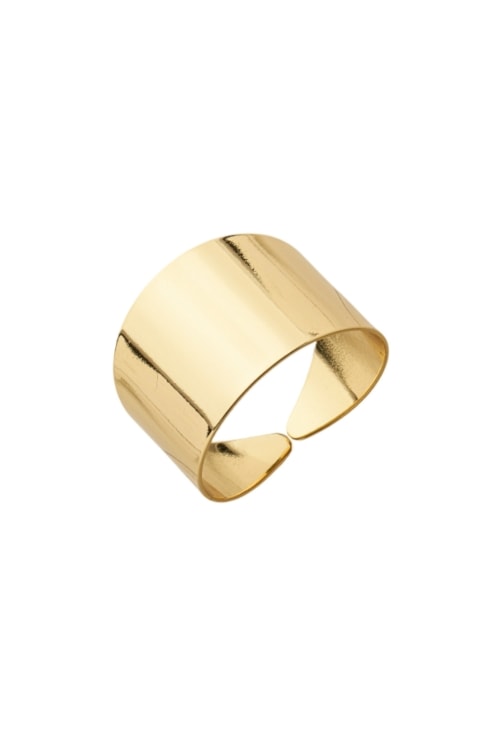 ANEL LISO AJUSTÁVEL NO OURO AN527-O