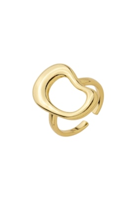 Produto ANEL REGULÁVEL ORGÂNICO VAZADO ROBUSTO AN533-O