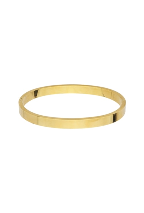 BRACELETE LISO 6MM EM AÇO INOX DOURADO PM511-AD