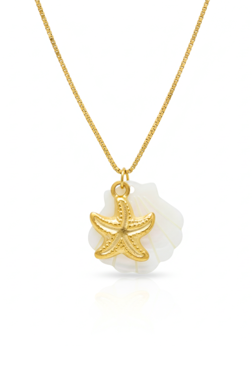 COLAR CO822-ADCOLAR CONCHA MADREPEROLA COM ESTRELA DO MAR CO822-AD