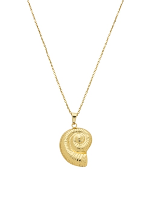 COLAR COM PINGENTE DE CONCHA ESPIRAL EM AÇO INOX DOURADO CO811-AD