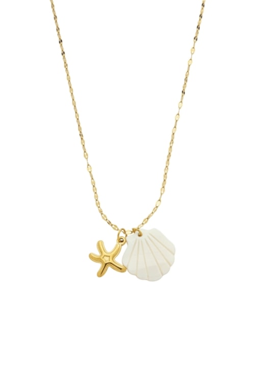 COLAR COM PINGENTES DE ESTRELA DO MAR E CONCHA BRANCA CO806-AD